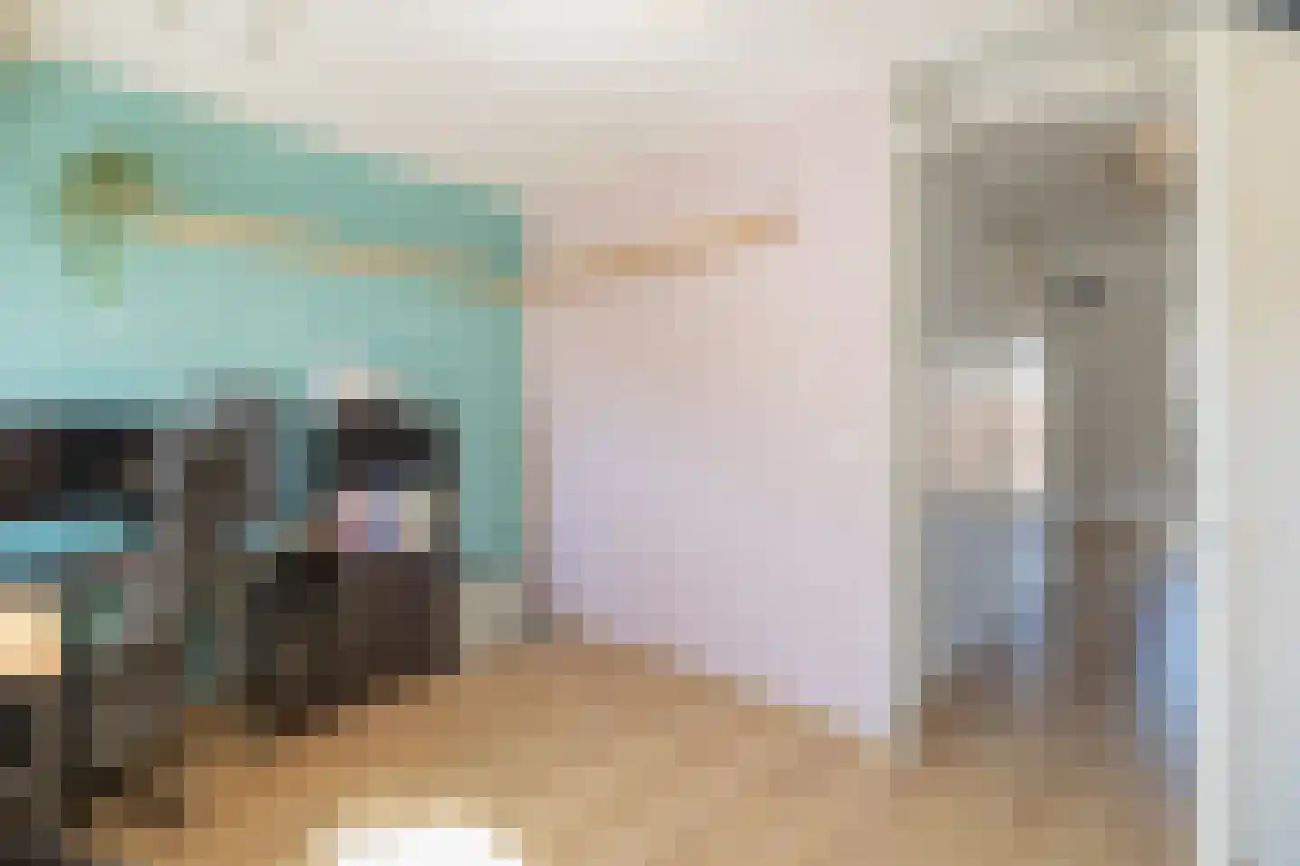 Claes van Kietenstraat 34 Spaarndam thumbnail 18
