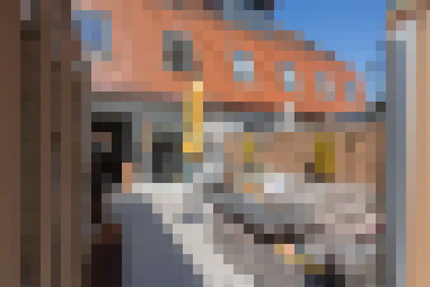 Claes van Kietenstraat 34 Spaarndam thumbnail 5