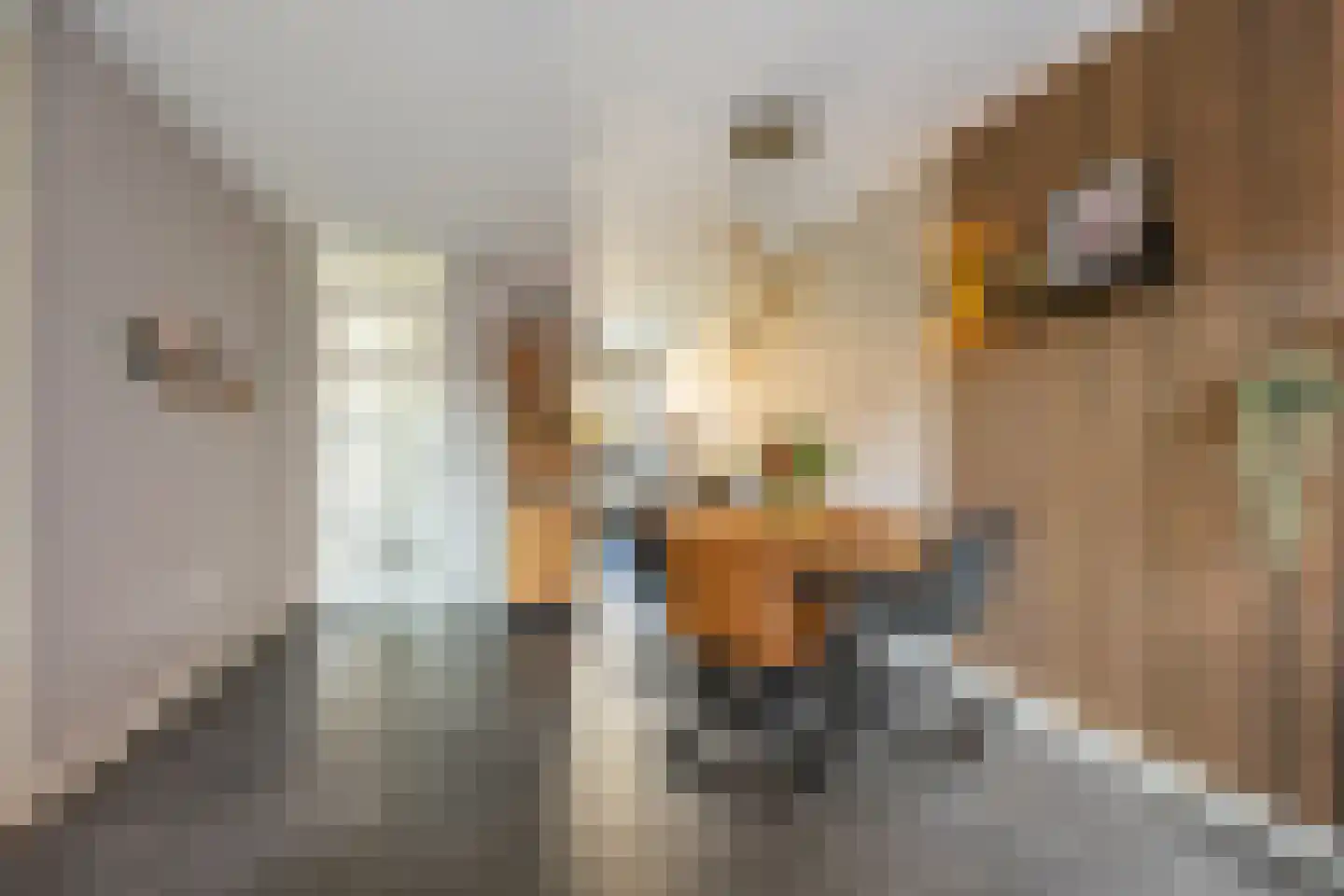 Claes van Kietenstraat 36 Spaarndam thumbnail 17