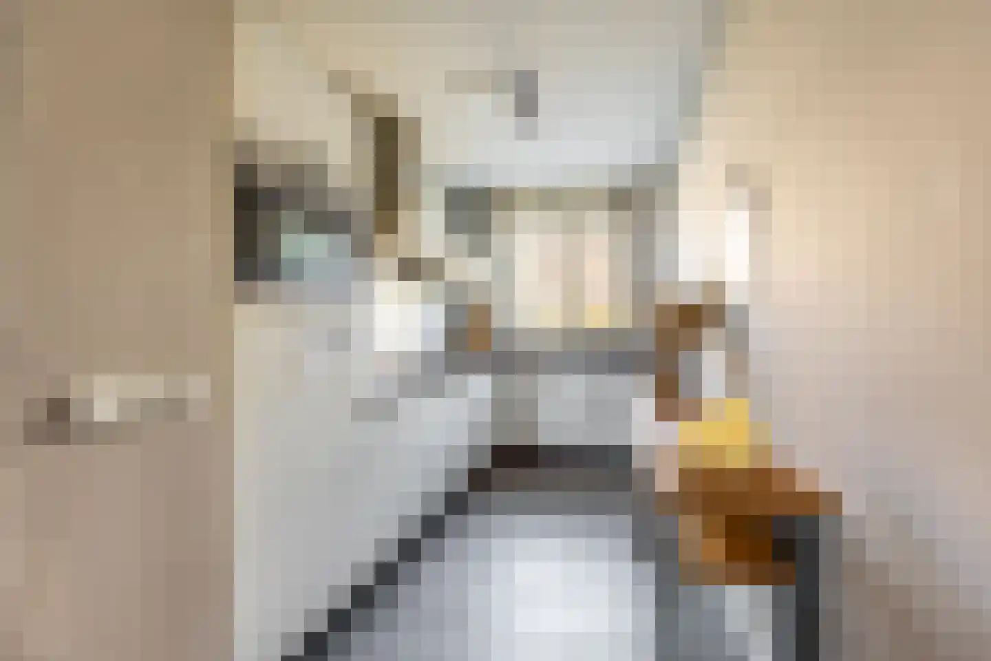 Claes van Kietenstraat 36 Spaarndam thumbnail 18