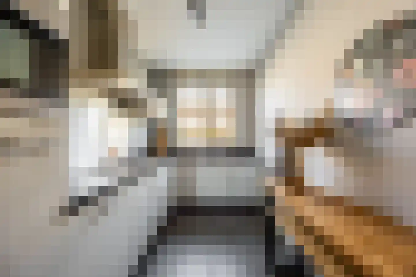 Claes van Kietenstraat 36 Spaarndam thumbnail 19