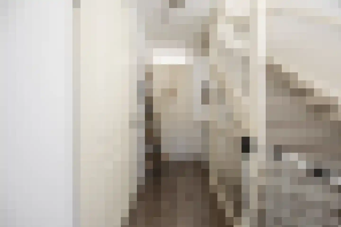 Claes van Kietenstraat 36 Spaarndam thumbnail 22