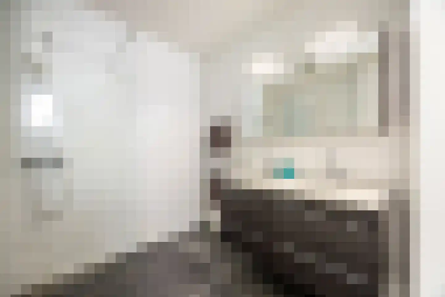 Claes van Kietenstraat 36 Spaarndam thumbnail 25