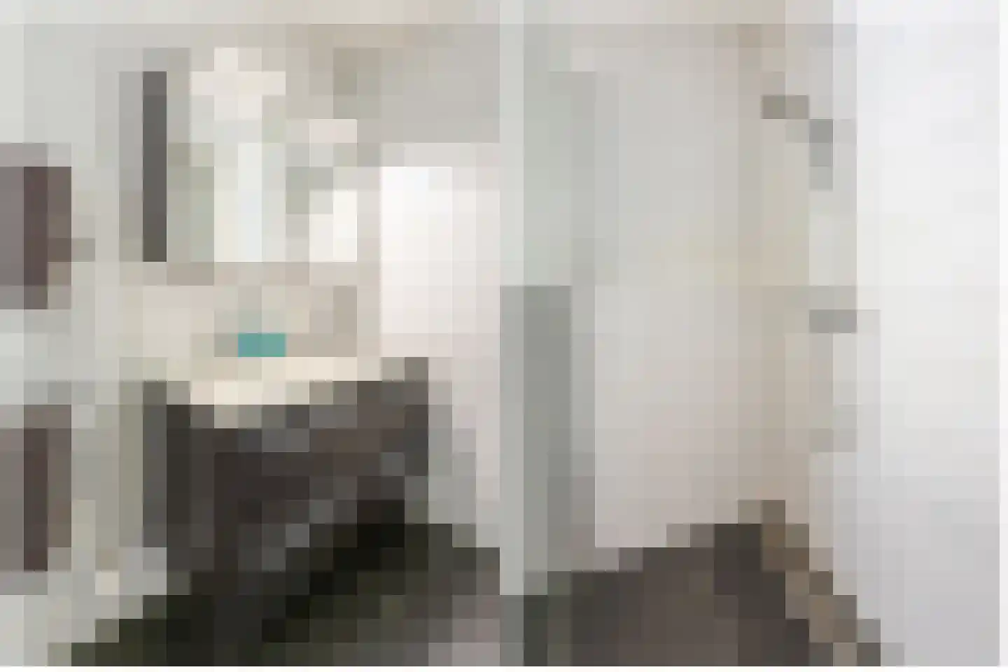 Claes van Kietenstraat 36 Spaarndam thumbnail 26