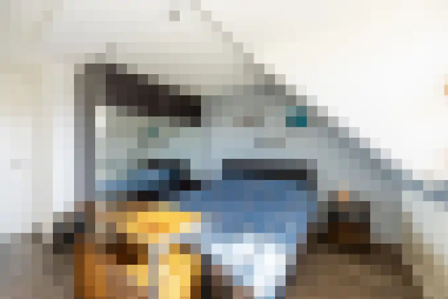 Claes van Kietenstraat 36 Spaarndam thumbnail 29