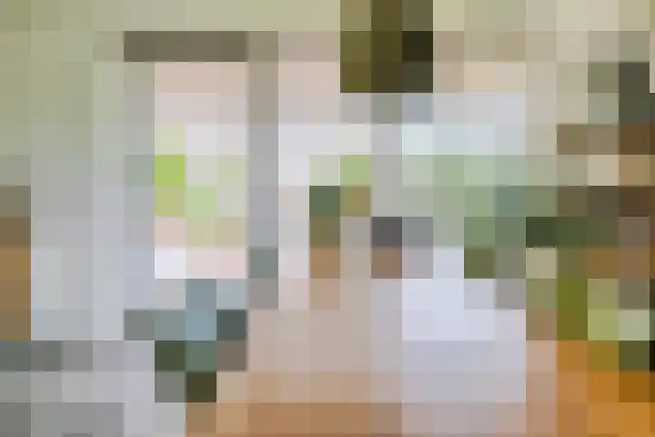 Claeszpad 26 Alkmaar thumbnail 14