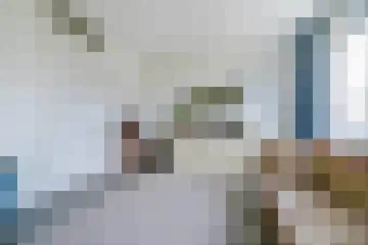 Claeszpad 26 Alkmaar thumbnail 20