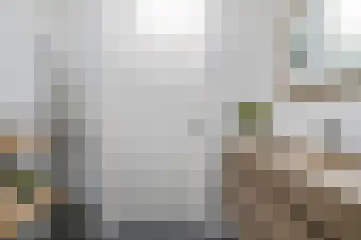Claeszpad 26 Alkmaar thumbnail 25