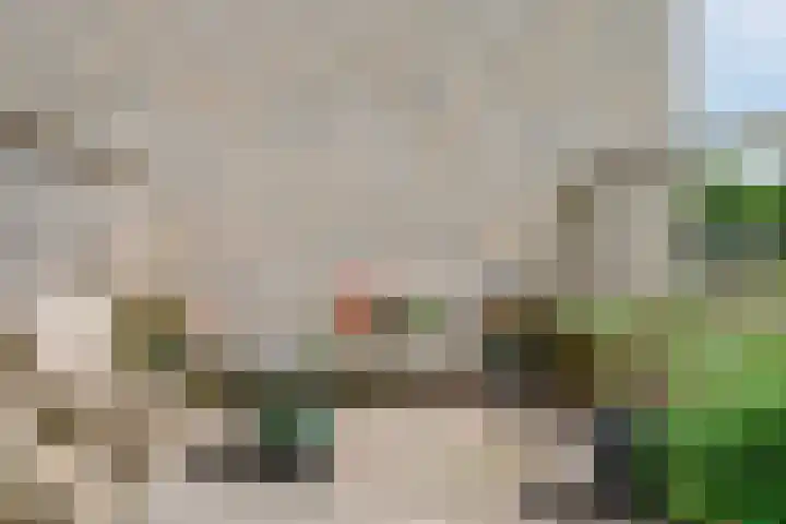 Claeszpad 26 Alkmaar thumbnail 29