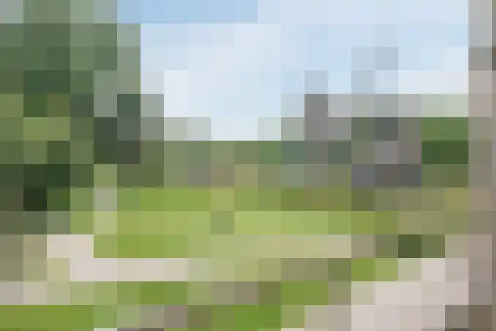 Claeszpad 26 Alkmaar thumbnail 33