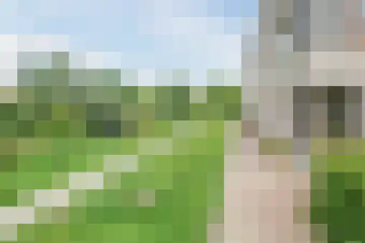 Claeszpad 26 Alkmaar thumbnail 35