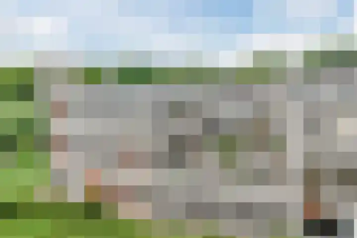 Claeszpad 26 Alkmaar thumbnail 38