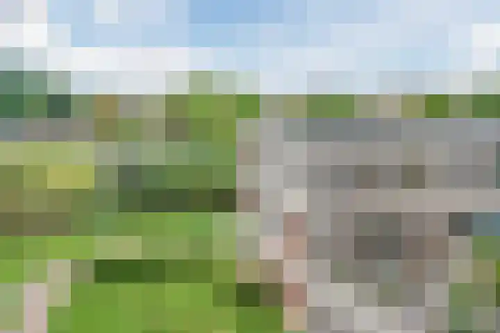 Claeszpad 26 Alkmaar thumbnail 39