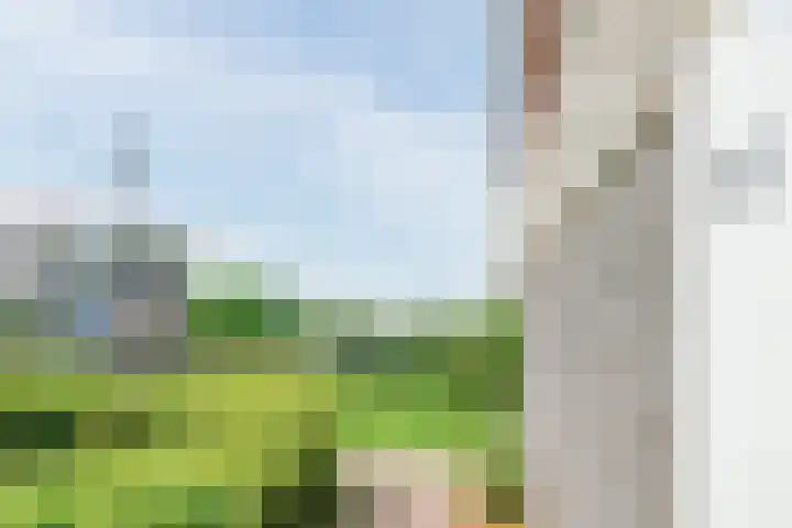 Claeszpad 26 Alkmaar thumbnail 4
