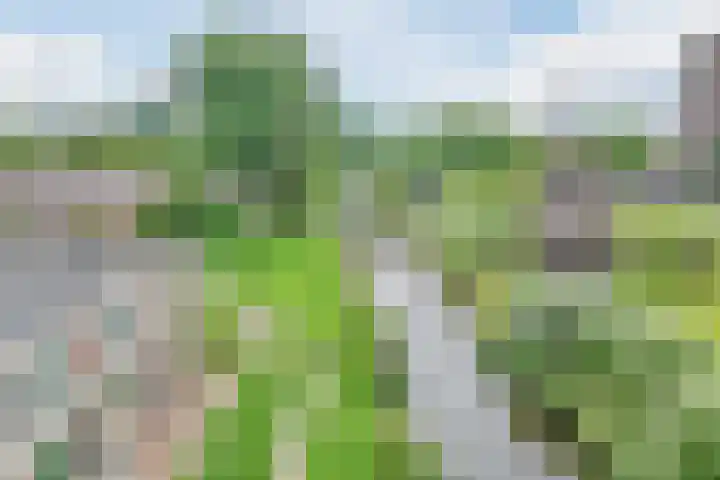 Claeszpad 26 Alkmaar thumbnail 40
