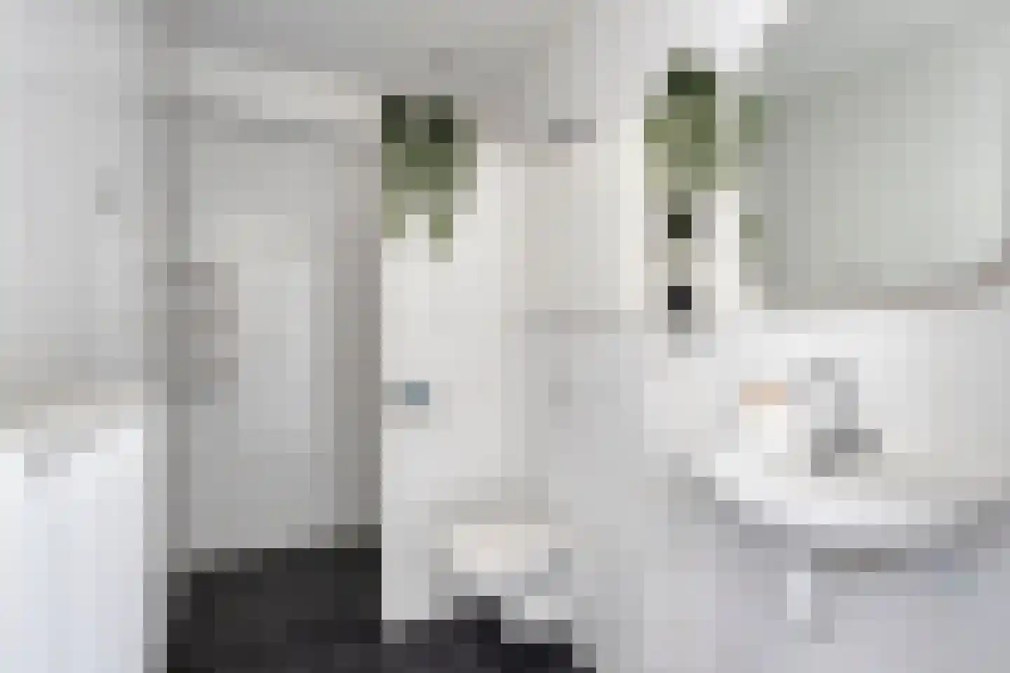 Claeszpad 4 Alkmaar thumbnail 10