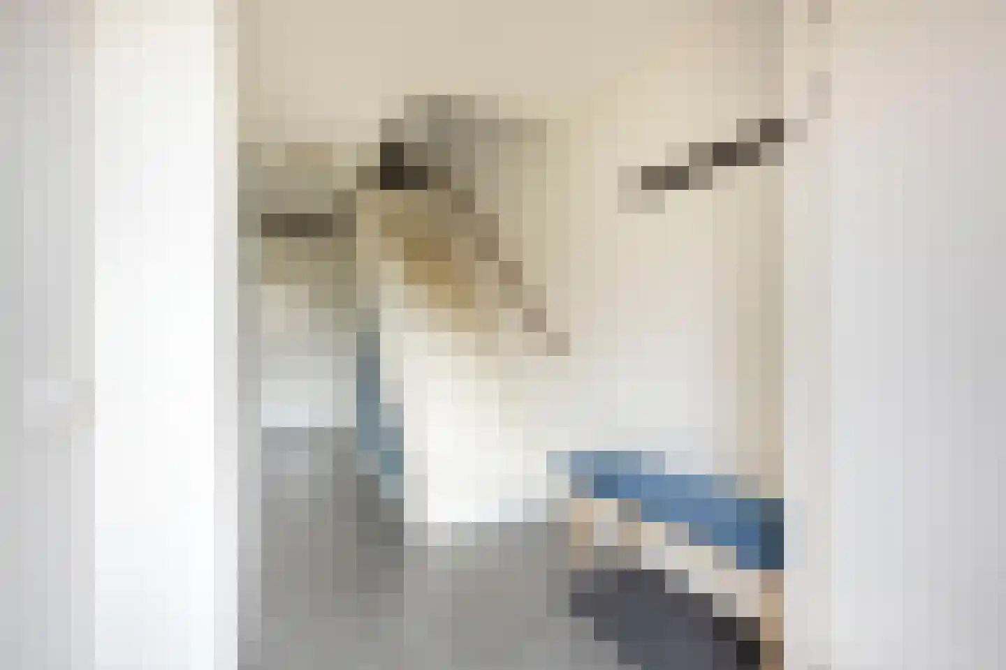Claeszpad 4 Alkmaar thumbnail 14