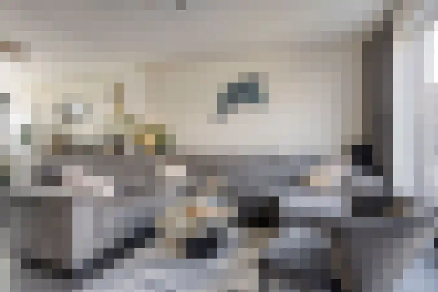 Claeszpad 4 Alkmaar thumbnail 16