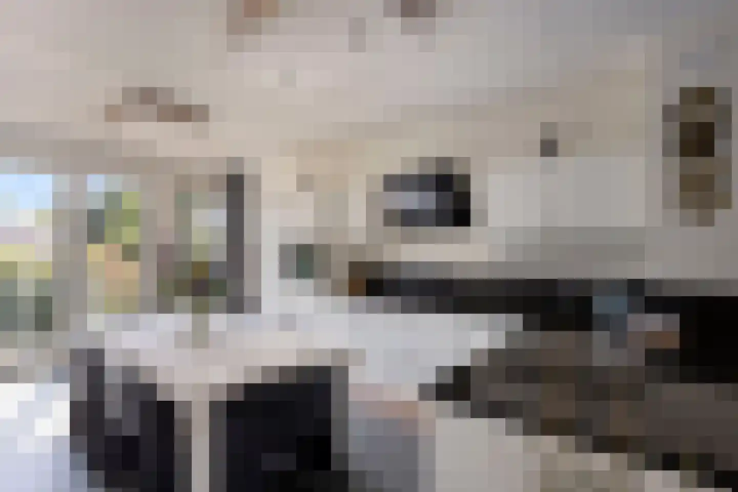 Claeszpad 4 Alkmaar thumbnail 22