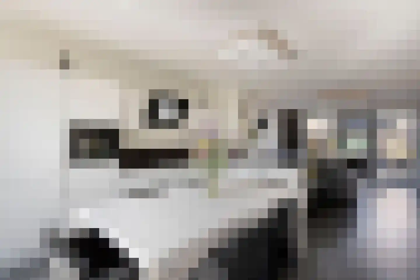 Claeszpad 4 Alkmaar thumbnail 23