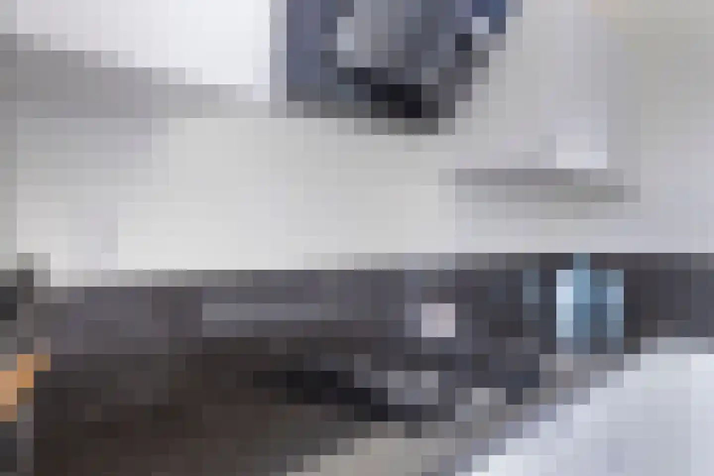 Claeszpad 4 Alkmaar thumbnail 24