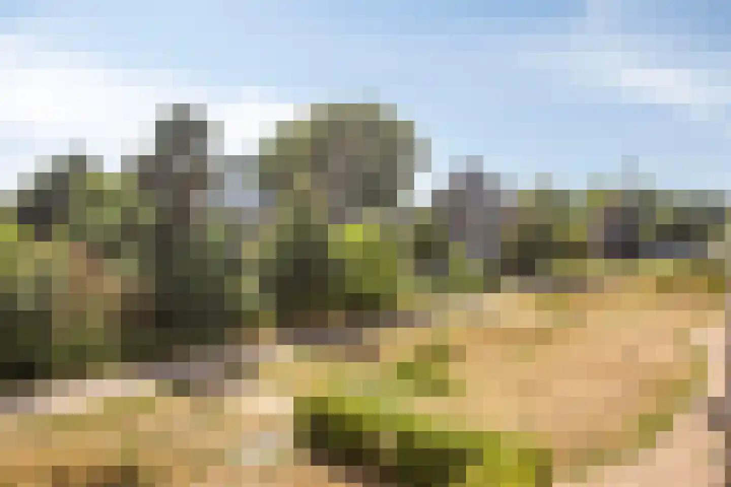 Claeszpad 4 Alkmaar thumbnail 26