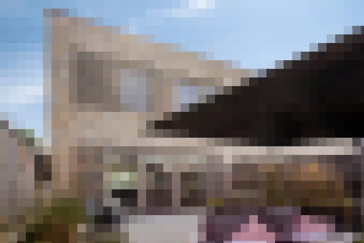 Claeszpad 4 Alkmaar thumbnail 31