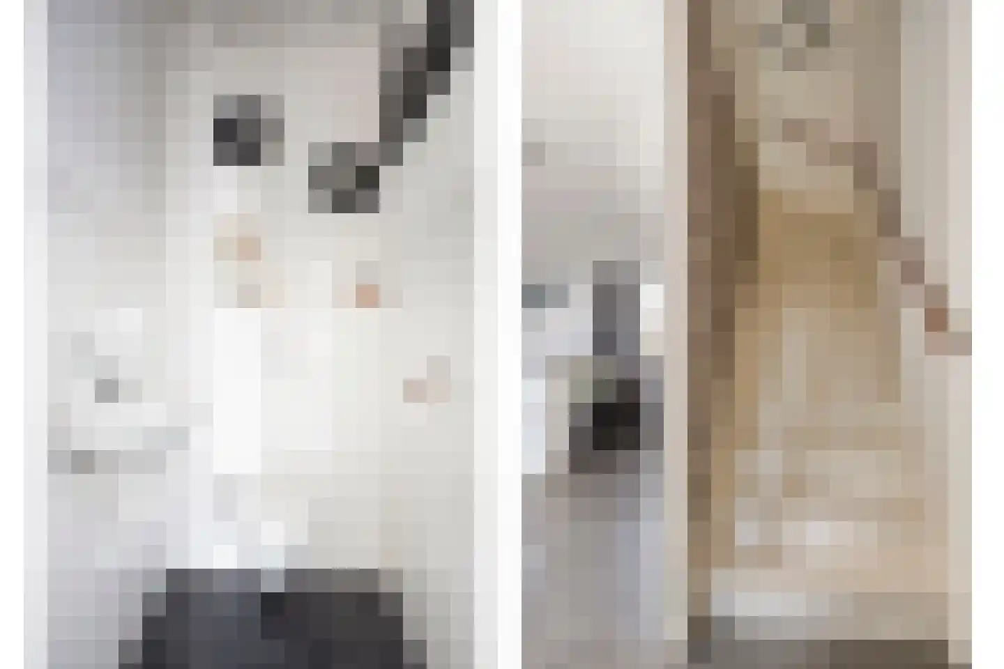 Claeszpad 4 Alkmaar thumbnail 33