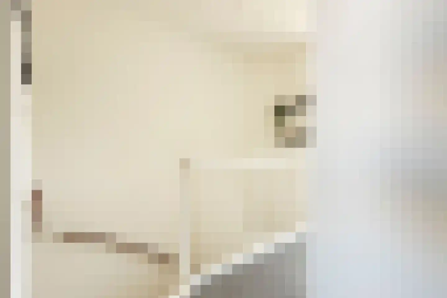 Claeszpad 4 Alkmaar thumbnail 34
