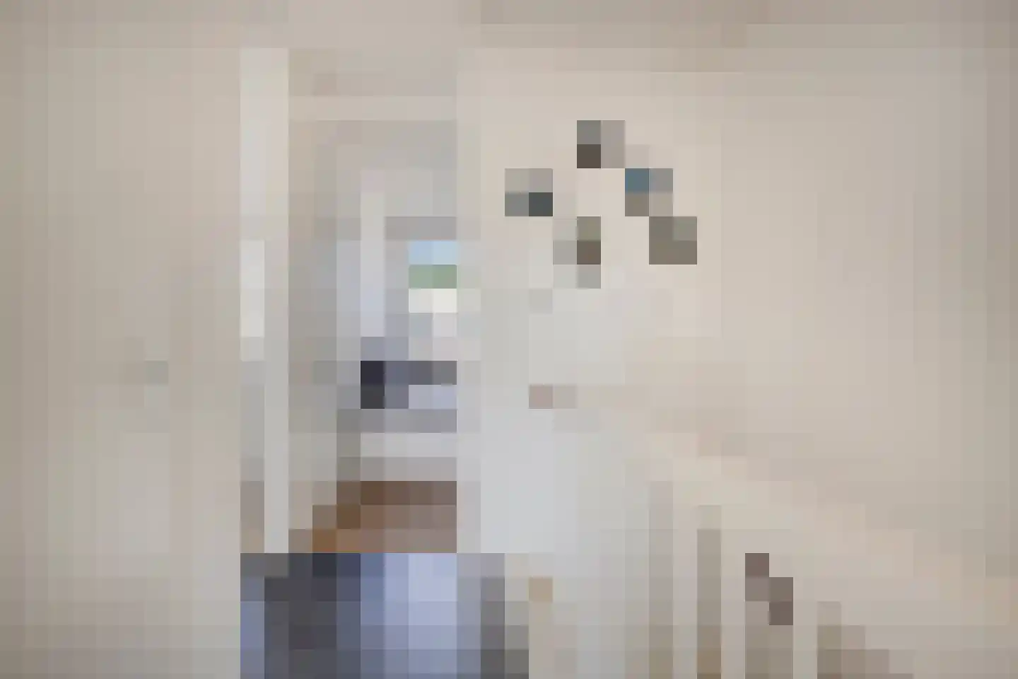 Claeszpad 4 Alkmaar thumbnail 36