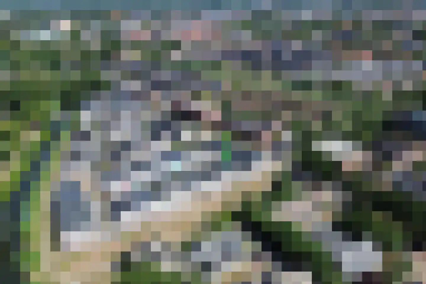 Claeszpad 4 Alkmaar thumbnail 4