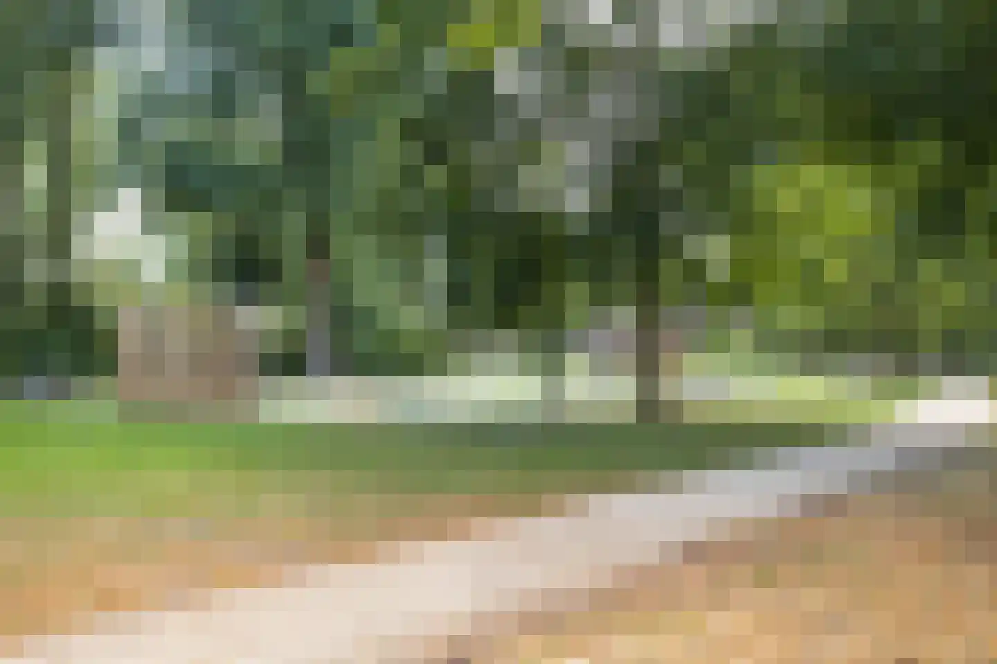 Claeszpad 4 Alkmaar thumbnail 55