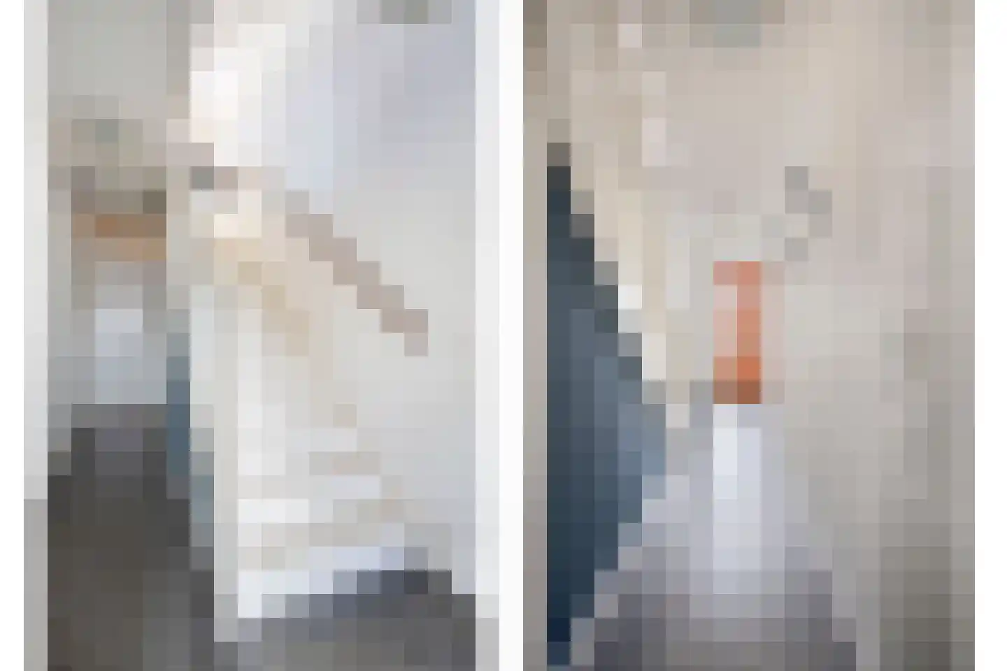Claeszpad 4 Alkmaar thumbnail 6