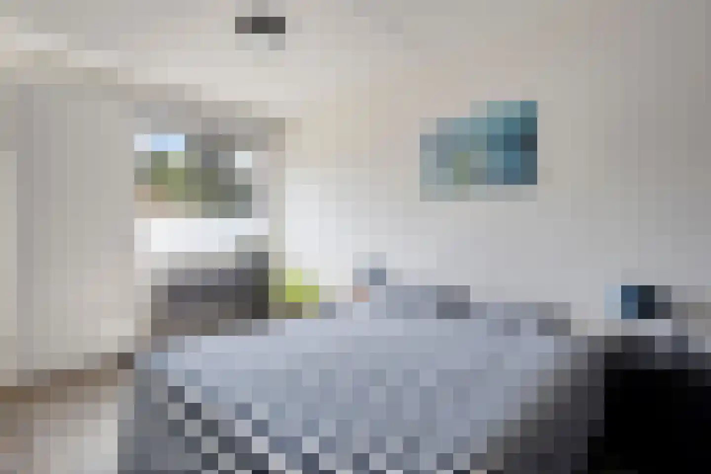 Claeszpad 4 Alkmaar thumbnail 8