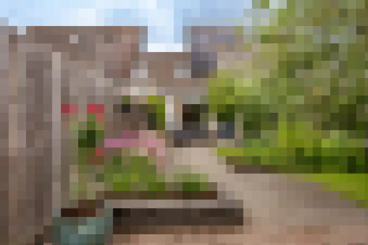 Clakenweg 27 Elburg thumbnail 45