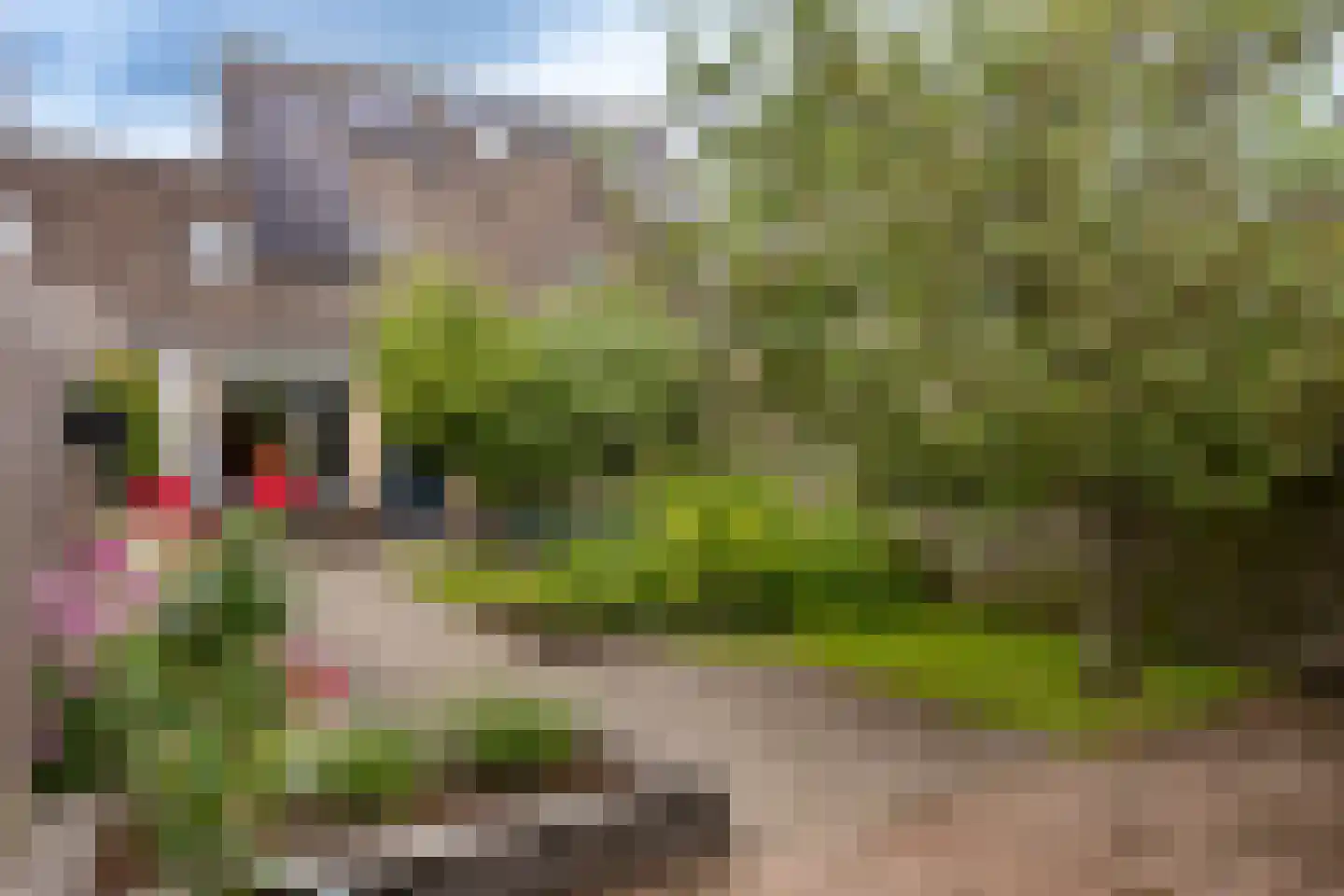 Clakenweg 27 Elburg thumbnail 46