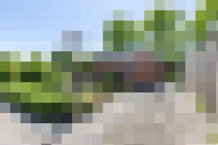 Clantlaan 13 Grijpskerk thumbnail 18