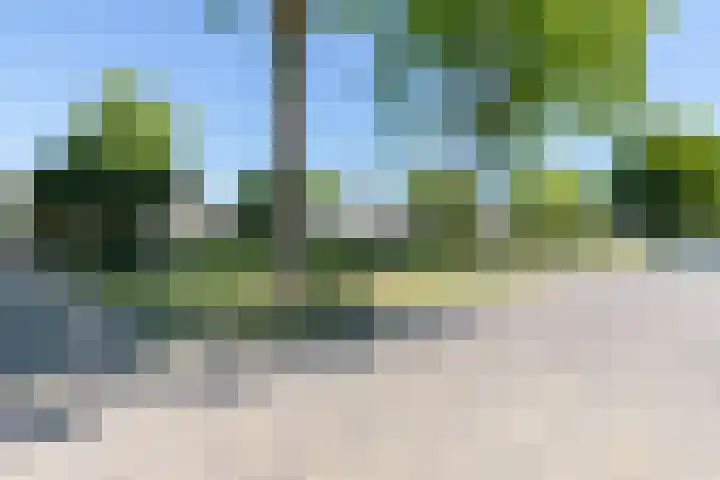 Clantlaan 13 Grijpskerk thumbnail 22