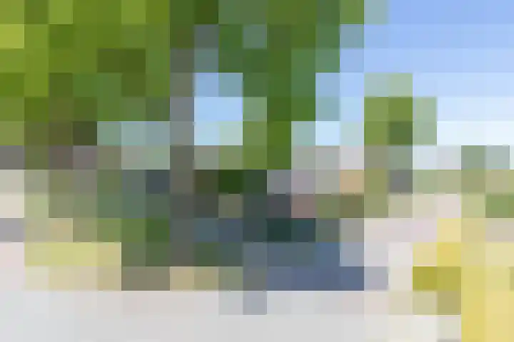 Clantlaan 13 Grijpskerk thumbnail 25
