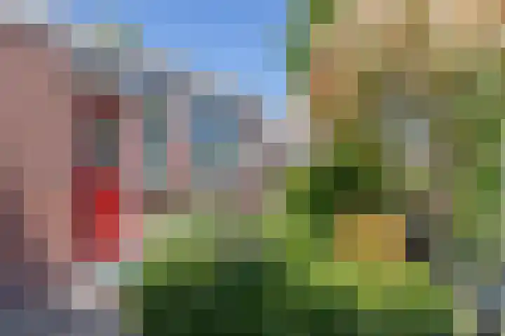 Clantlaan 13 Grijpskerk thumbnail 5