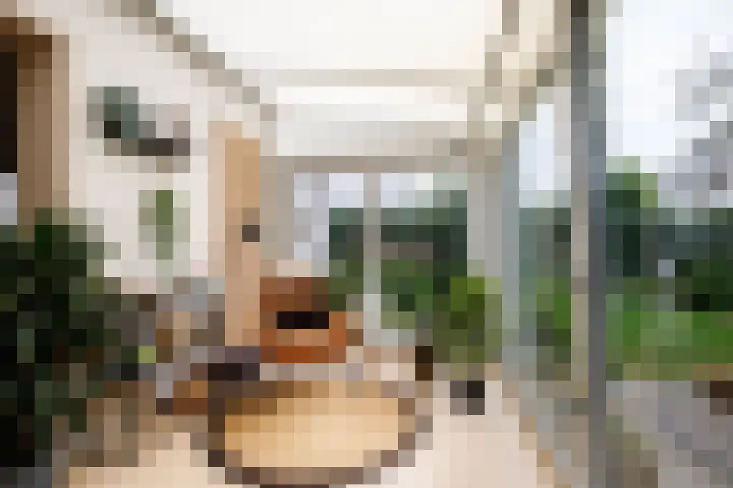 Clara de Vriesstraat 35 Rotterdam thumbnail 21
