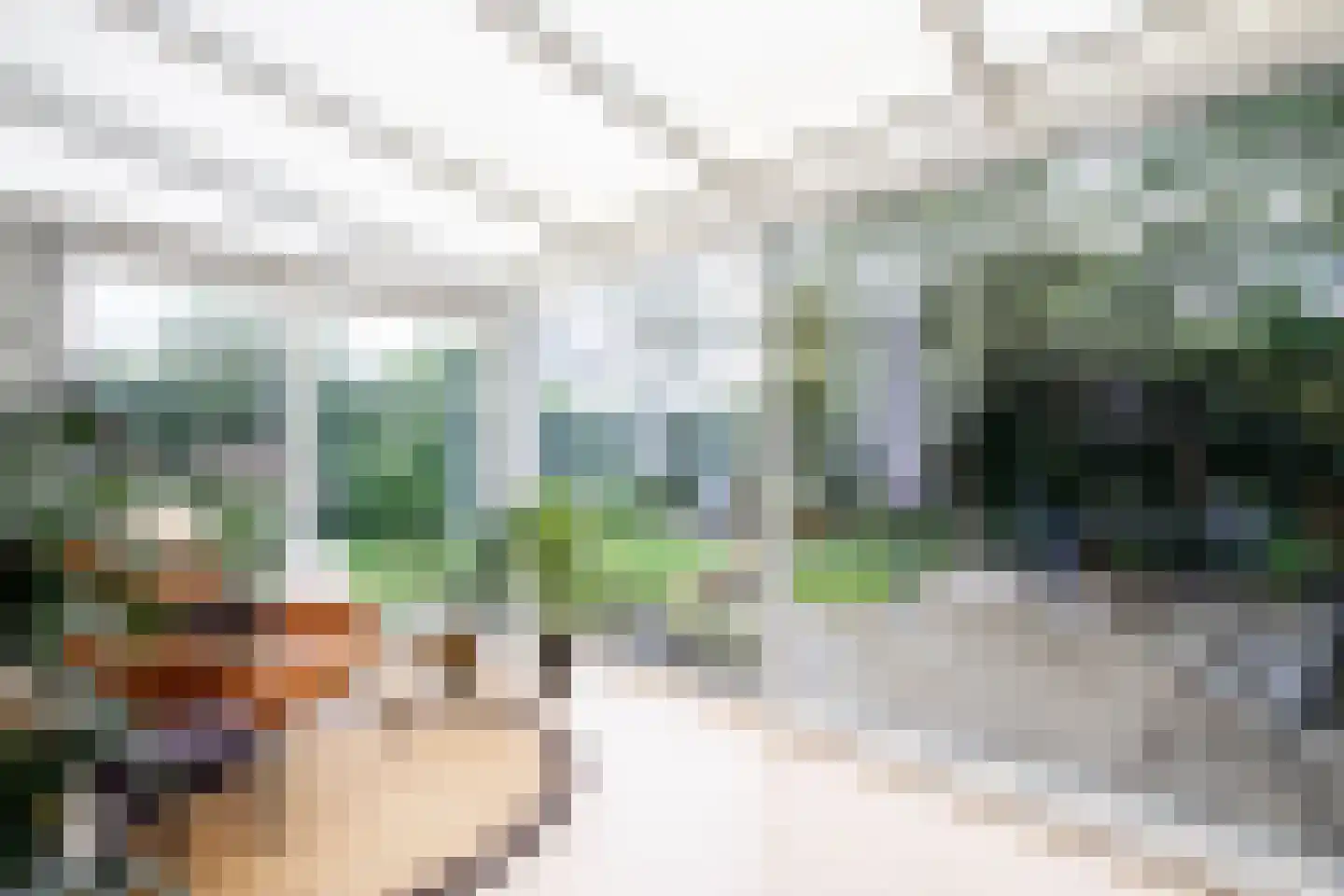 Clara de Vriesstraat 35 Rotterdam thumbnail 24