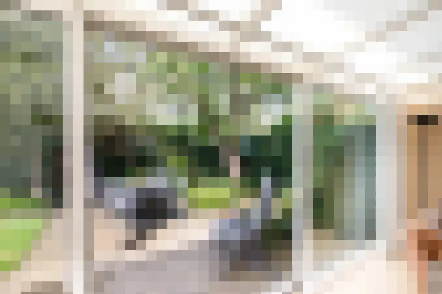 Clara de Vriesstraat 35 Rotterdam thumbnail 25