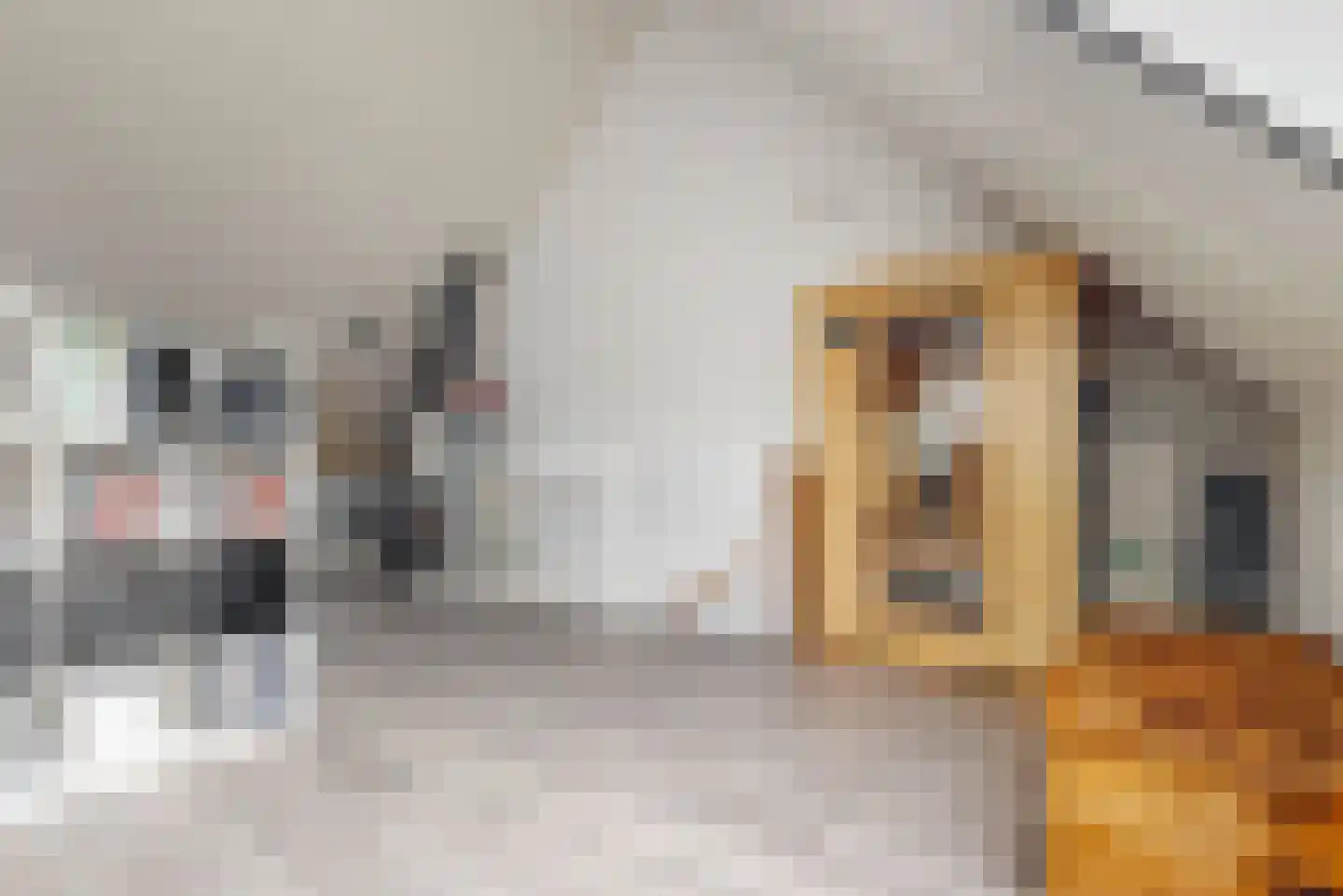 Clara Egginklaan 32 Uithoorn thumbnail 21