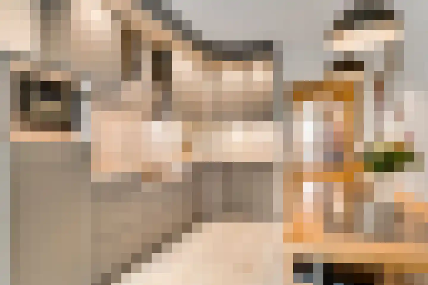 Clara Feystraat 11 Cadier en Keer thumbnail 8
