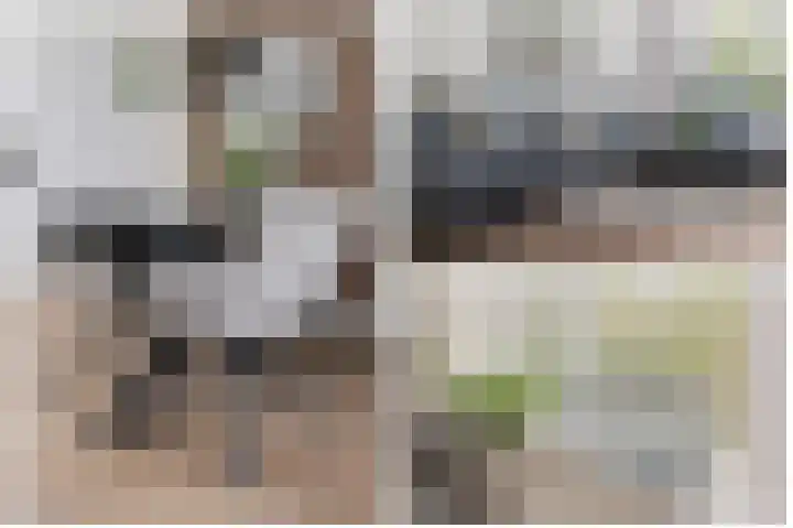 Clara Peeterslaan 1 Bilthoven thumbnail 10