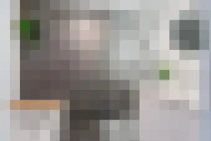 Clara Peeterslaan 1 Bilthoven thumbnail 16