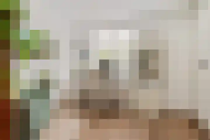 Clara Peeterslaan 1 Bilthoven thumbnail 18