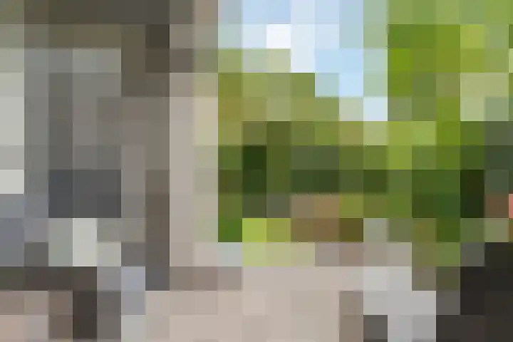 Clara Peeterslaan 1 Bilthoven thumbnail 22