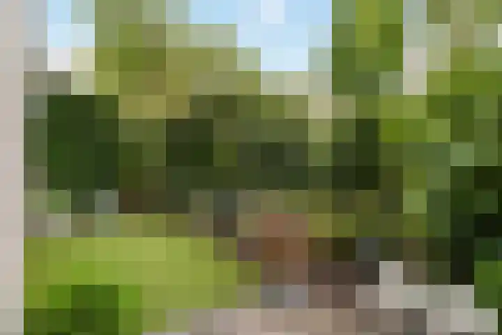 Clara Peeterslaan 1 Bilthoven thumbnail 25